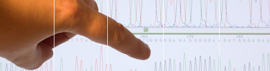 Sitemap www.easydna.ie