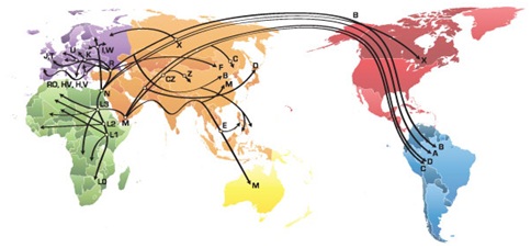 maternal lineage maternal lineage