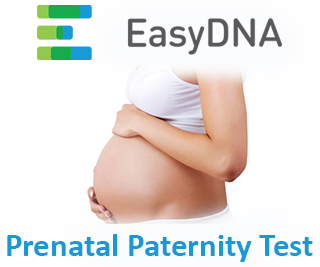 Prenatal Paternity Testing easyDNA Ireland 