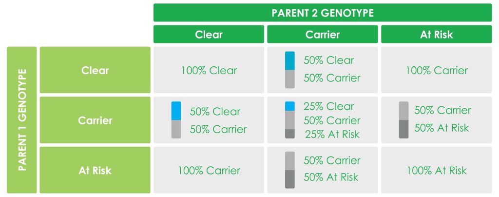Dog Inherited Disease Chart